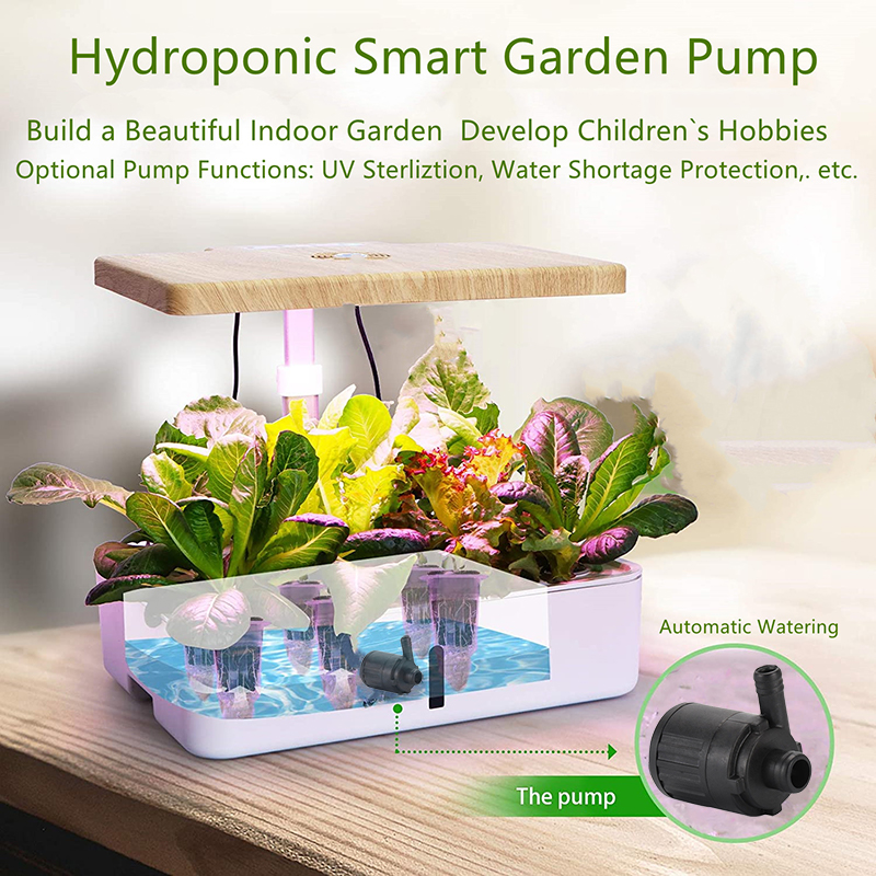 27095077.jpg hydropnics pump 03 800.jpg